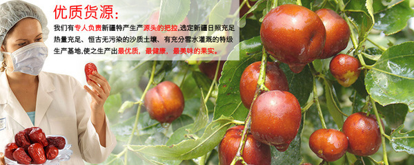 五星和田駿棗 從枝頭到舌尖的甜蜜饋贈(zèng)——藏天崗農(nóng)社的品質(zhì)堅(jiān)守