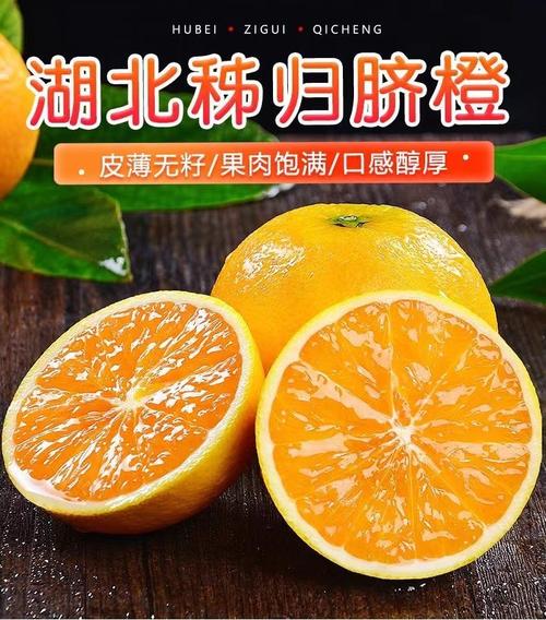 秭歸高山夏橙 夏日里的一抹清新酸甜